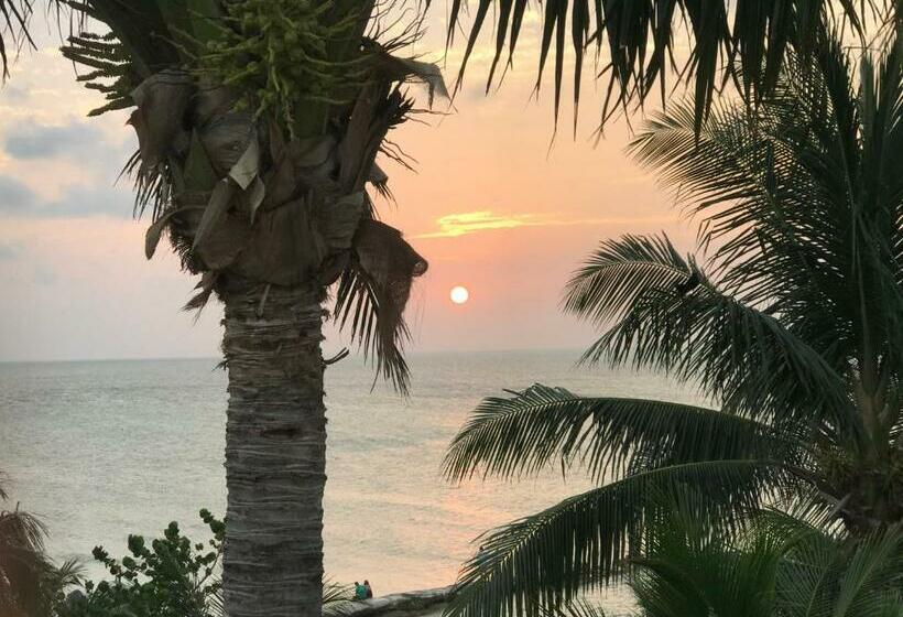 Beachfront Hotel La Palapa Adults Only