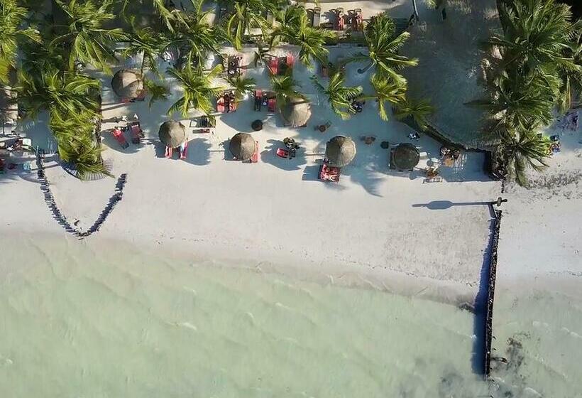 Beachfront Hotel La Palapa Adults Only