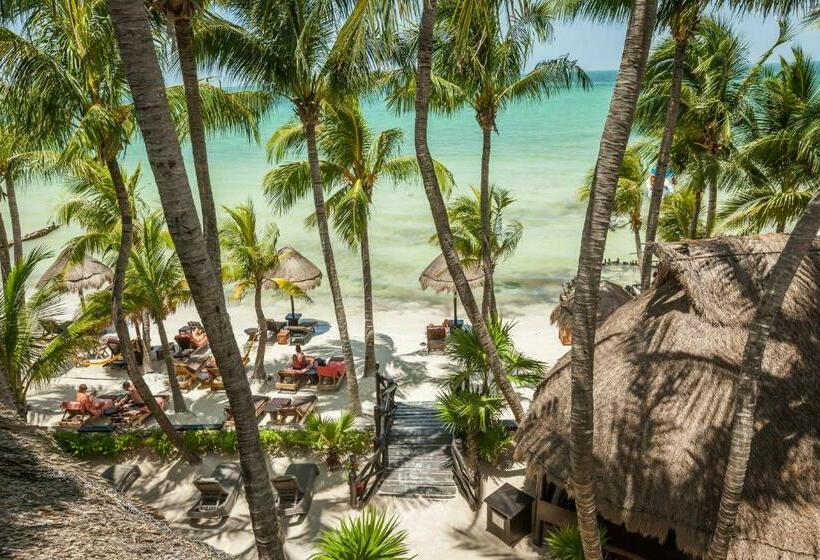 Beachfront Hotel La Palapa Adults Only