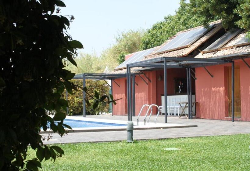 Отель Moli Canyisset