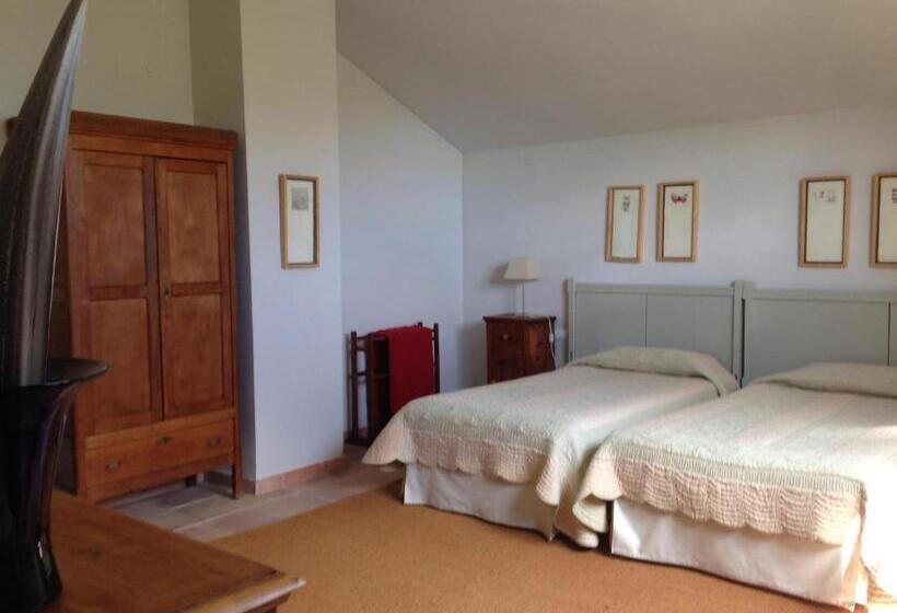 Отель Moli Canyisset