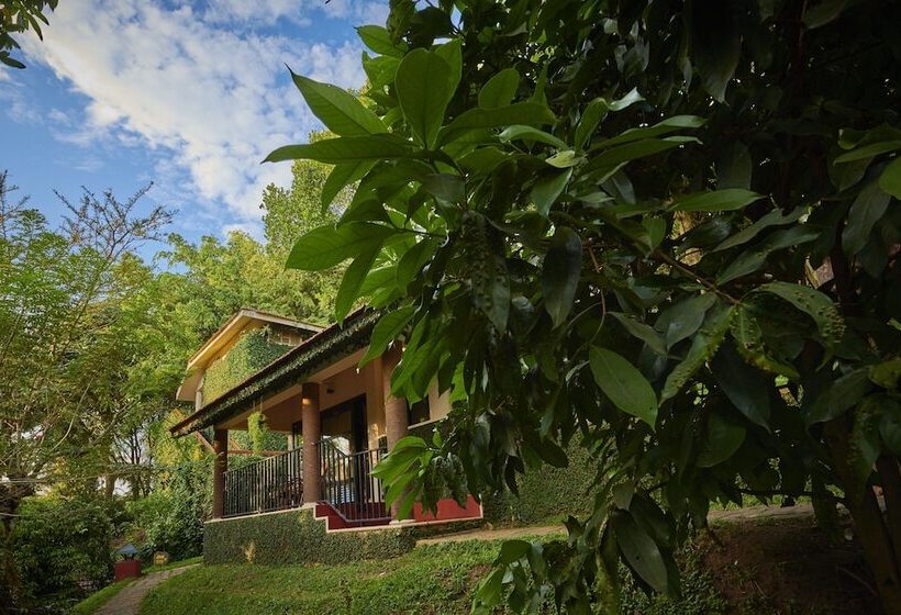 ホテル Cardamom County By Xandari