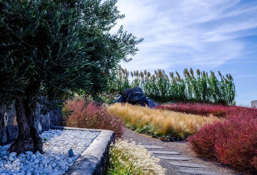 Hotell Carpe Diem Santorini