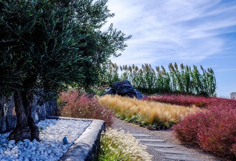 Hotell Carpe Diem Santorini