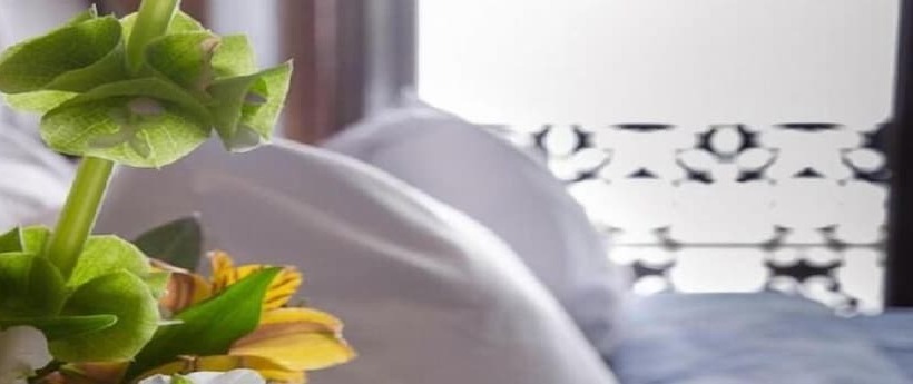 Casa Aspeytia Hotel Boutique