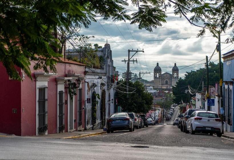 فندق Casa De Las Flores