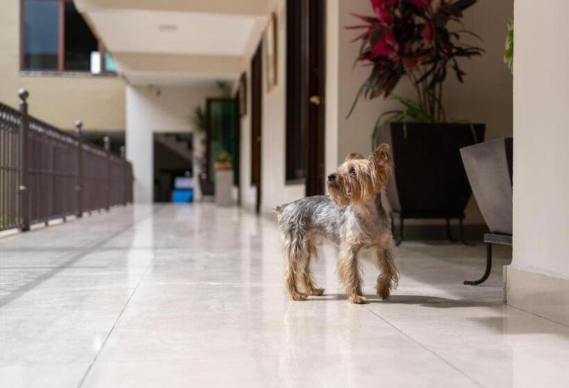 فندق Casa De Las Flores