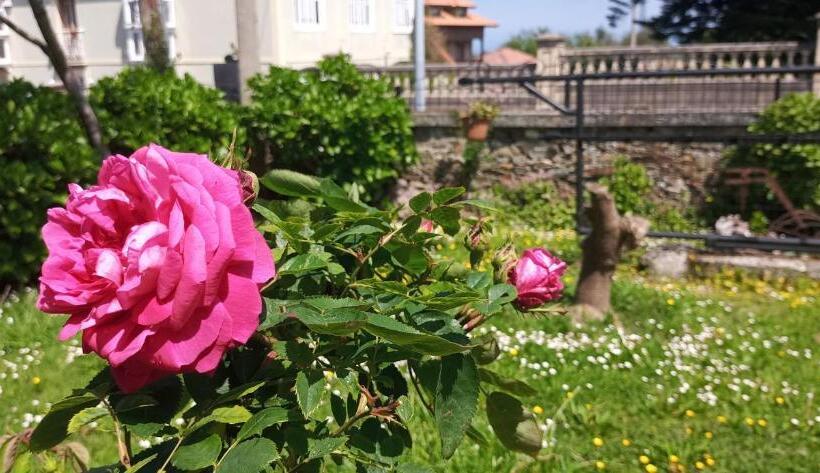 בית מלון כפרי Vitorio