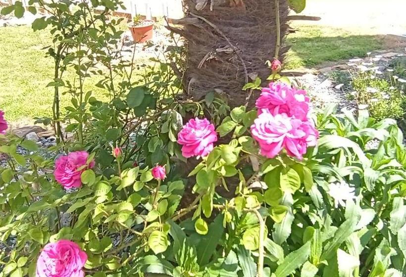 בית מלון כפרי Vitorio