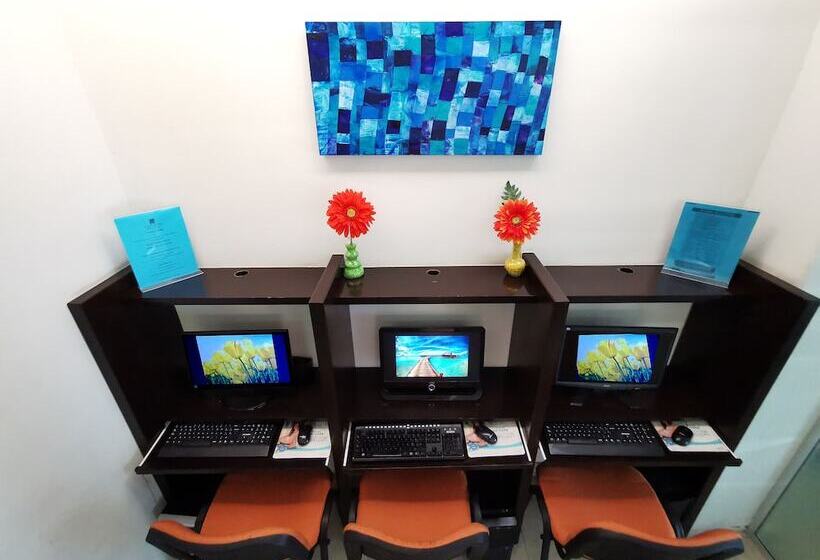 Отель Coral Island Beach View