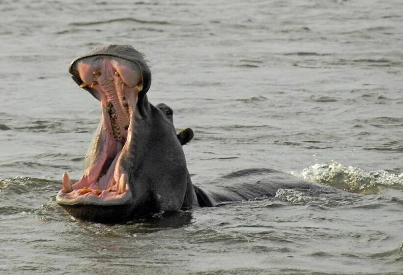 בית מלון כפרי Divava Okavango Resort & Spa