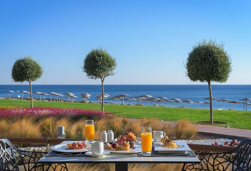 Отель Elysium Resort & Spa