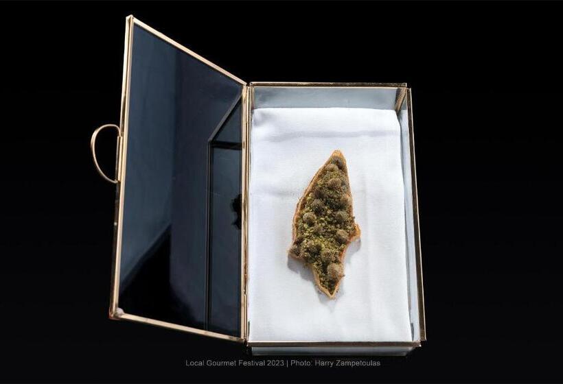 Отель Elysium Resort & Spa