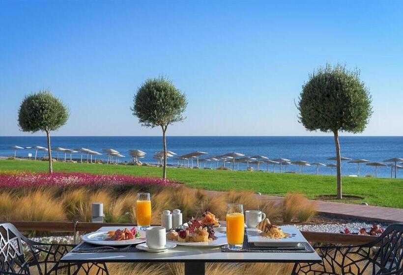 Отель Elysium Resort & Spa