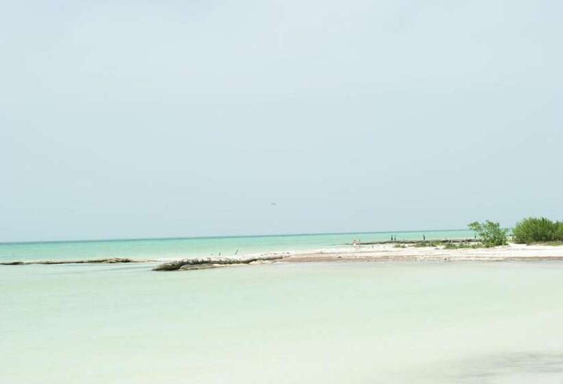 Отель Holbox Dream Beachfront