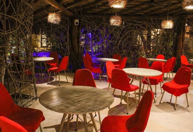 Отель Holbox Dream Beachfront