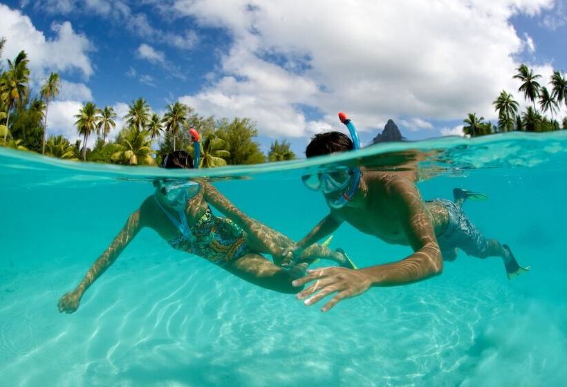 酒店 Intercontinental Bora Bora & Thalasso Spa, An Ihg