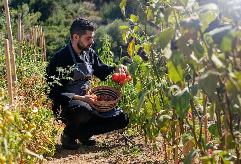 Irida Hotel Agia Pelagia