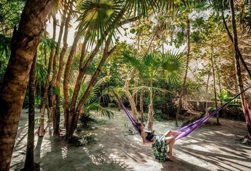 בית מלון כפרי I Scream House