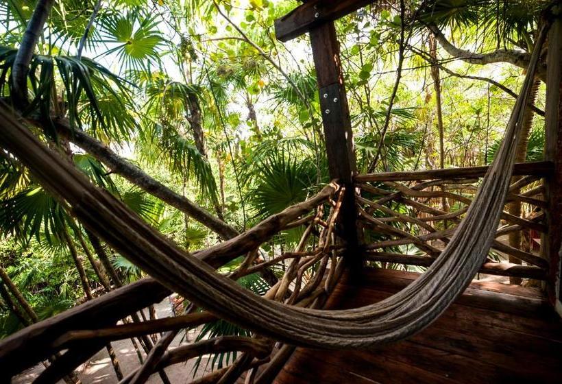 בית מלון כפרי I Scream House