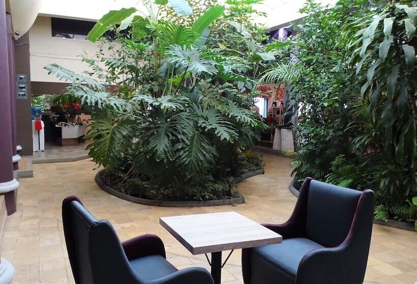 ホテル Jardines Del Centro