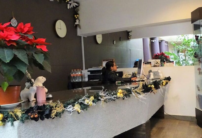 ホテル Jardines Del Centro