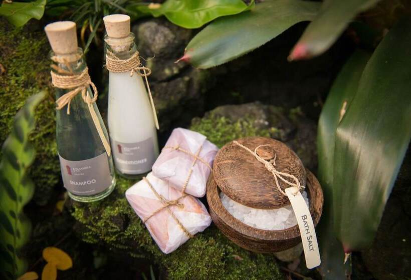 酒店 Komaneka At Bisma Ubud