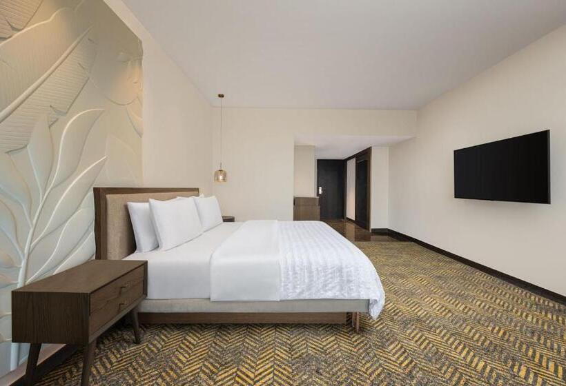 هتل Le Méridien Nagpur