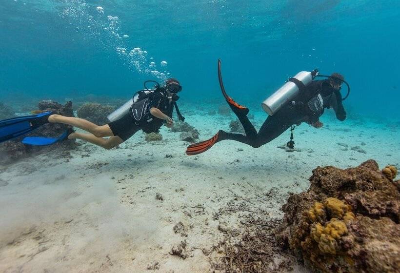 ホテル Te Moana Tahiti Resort