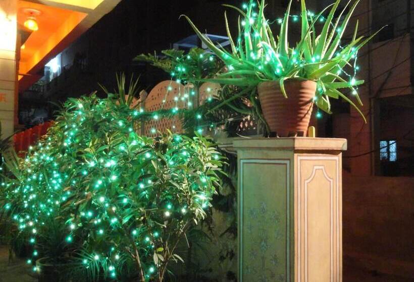 فندق Maya International