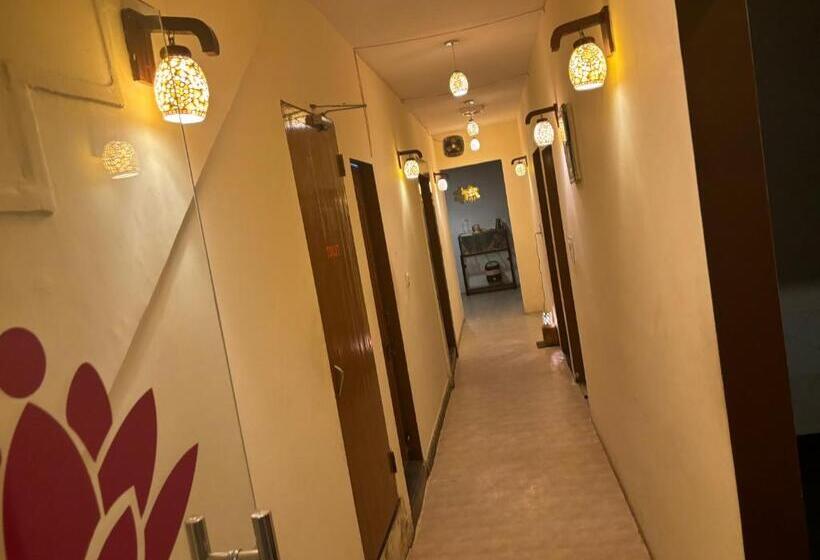 فندق Maya International