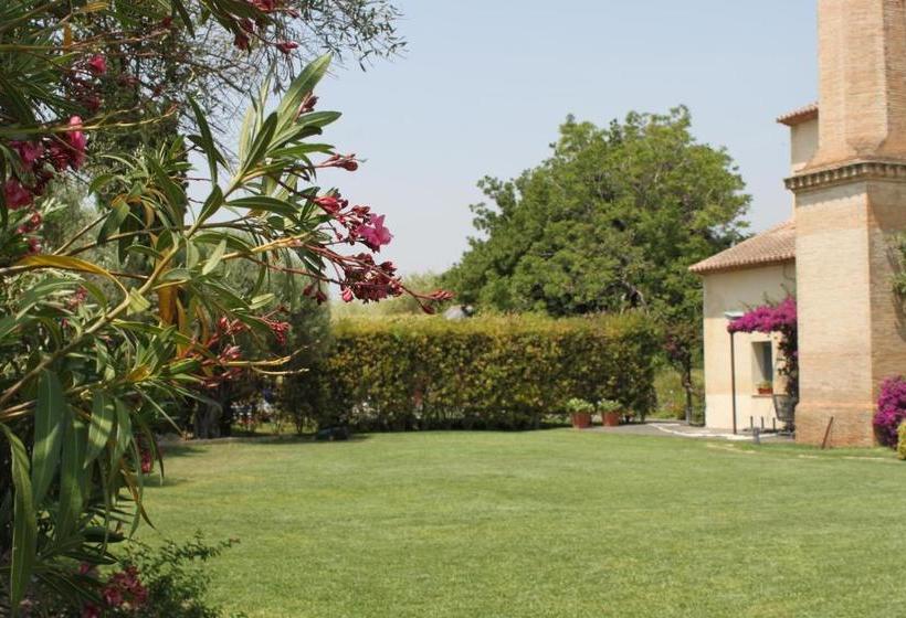 Отель Moli Canyisset