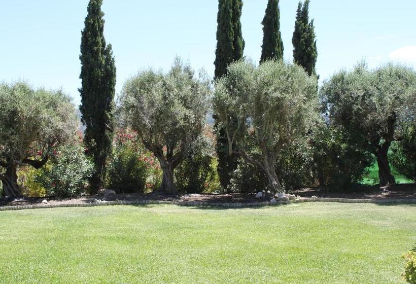 Отель Moli Canyisset