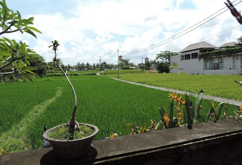 فندق Nick S Hidden Cottages By Mahaputra Chse Certified