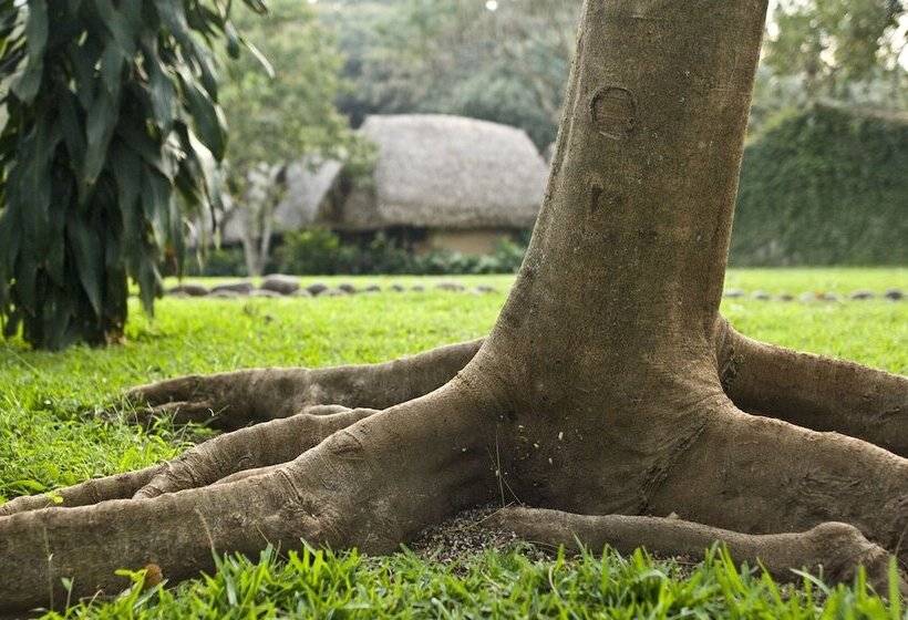 Otel Picocanoa Rodavento