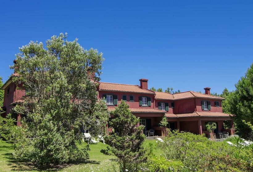 ホテル Quinta Santo Antonio Da Serra