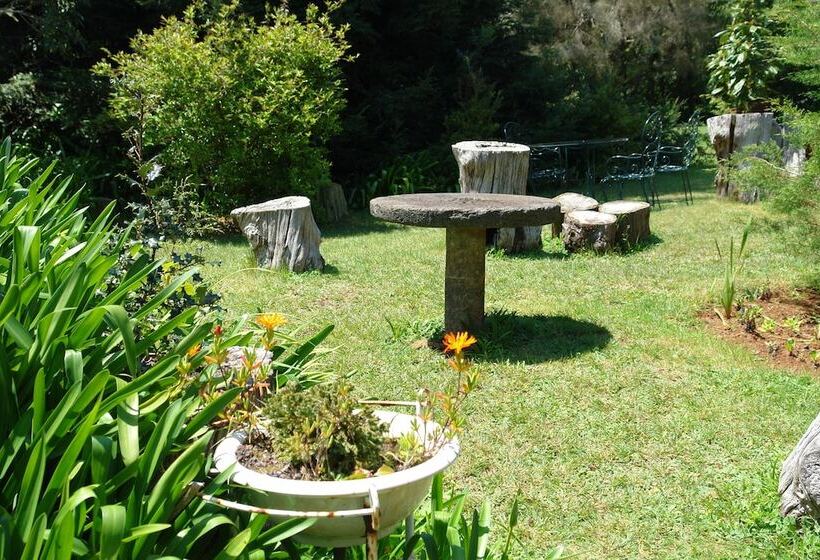 ホテル Quinta Santo Antonio Da Serra