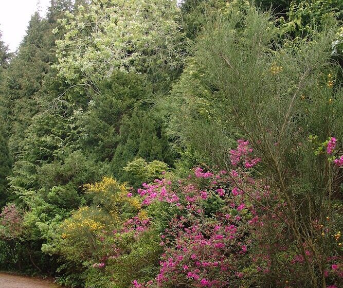 ホテル Quinta Santo Antonio Da Serra