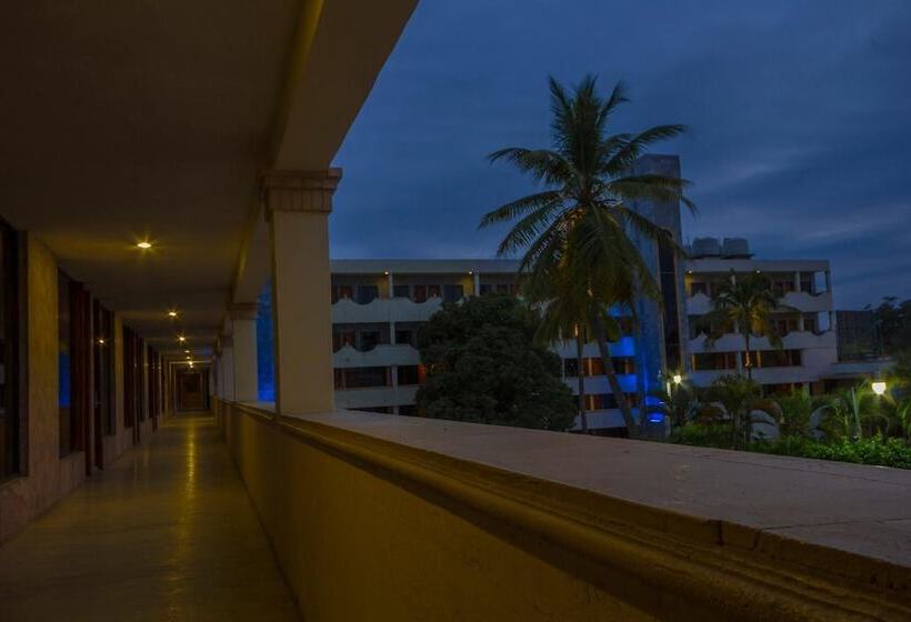 Отель San Antonio