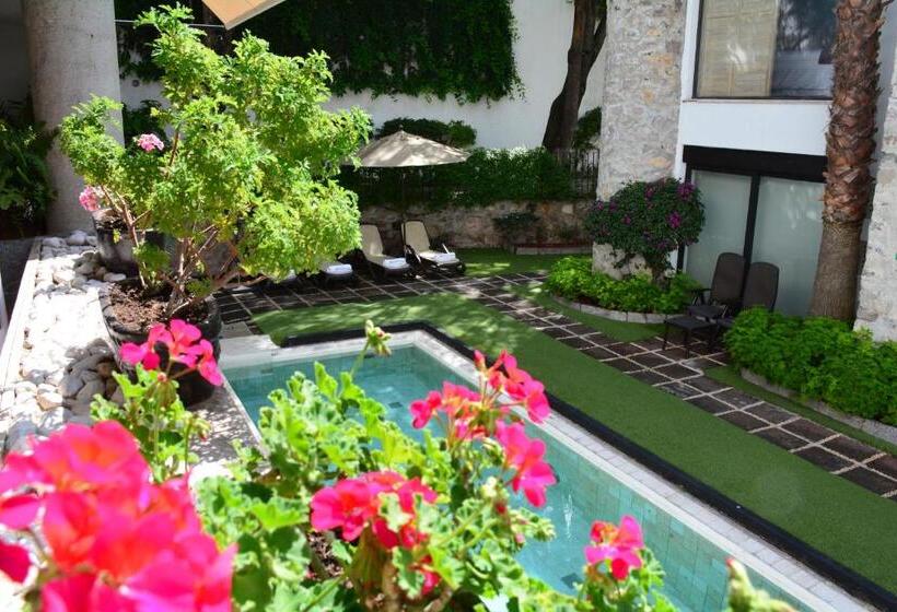فندق & Spa Dona Urraca San Miguel De Allende