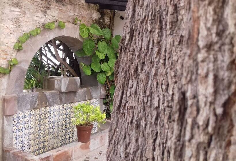 Отель & Spa Dona Urraca San Miguel De Allende