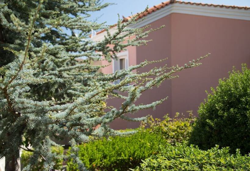 هتل Sunrise Resort