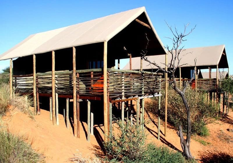 בית מלון כפרי Suricate Tented Kalahari Lodge
