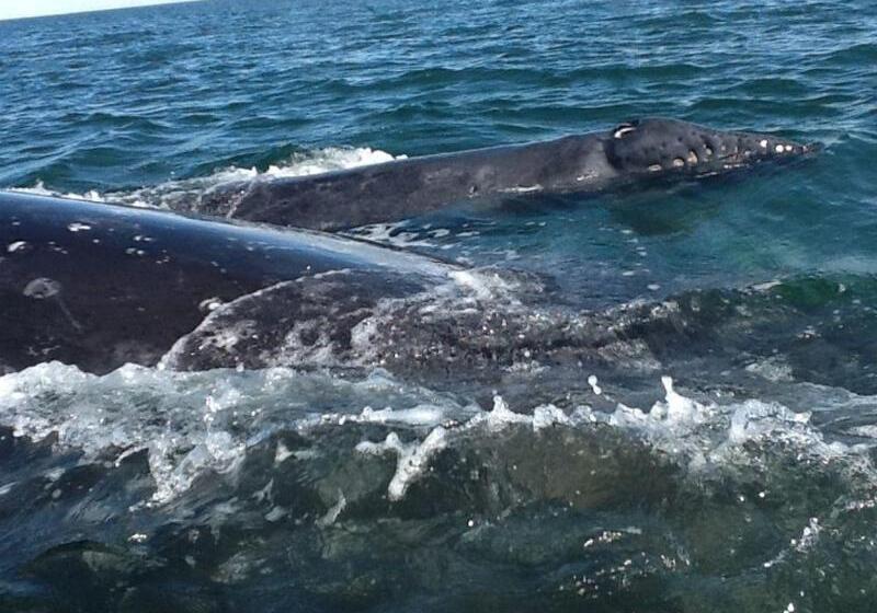 فندق The Halfway Inn