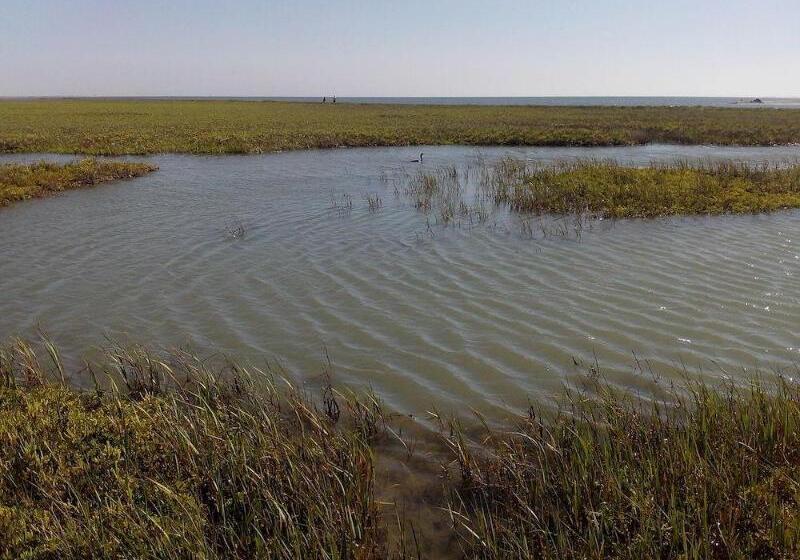 فندق The Halfway Inn