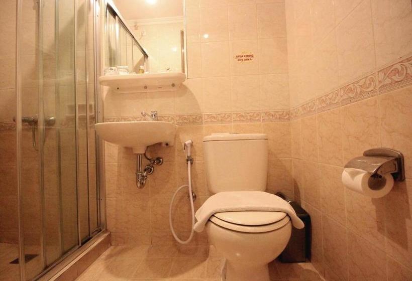 Отель The Majesty Business And Family