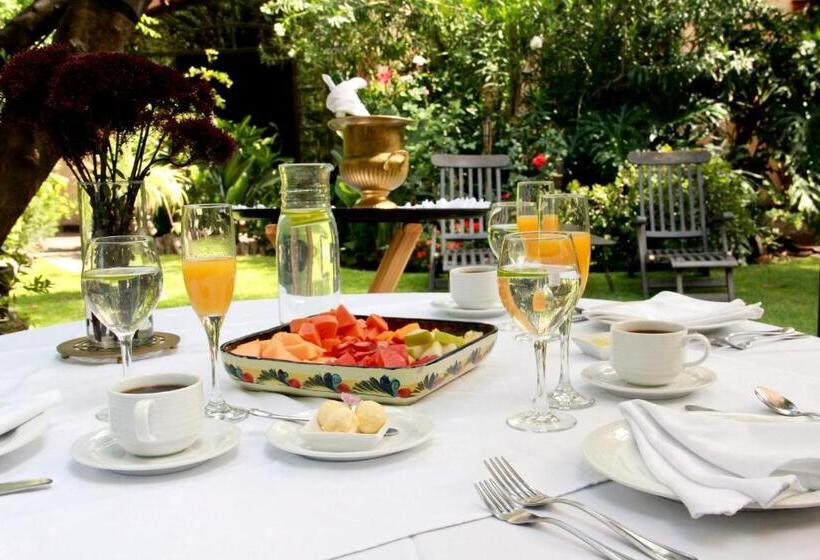 Отель Villa Ganz Boutique