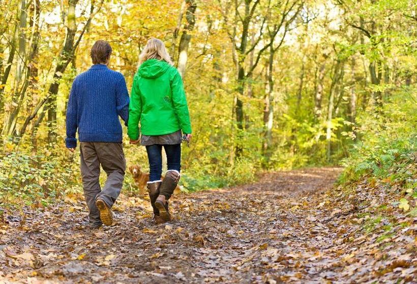 Westcord Wtc Hotel Leeuwarden