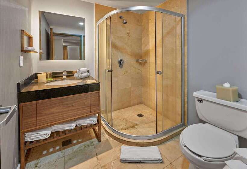 هتل Wyndham Garden Mexico City Polanco