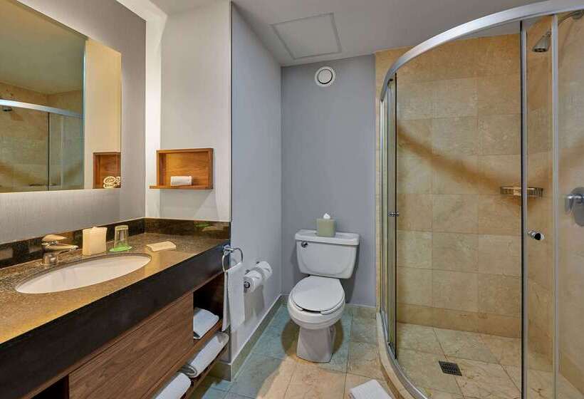 هتل Wyndham Garden Mexico City Polanco